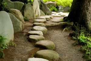 Intrinsic Coaching