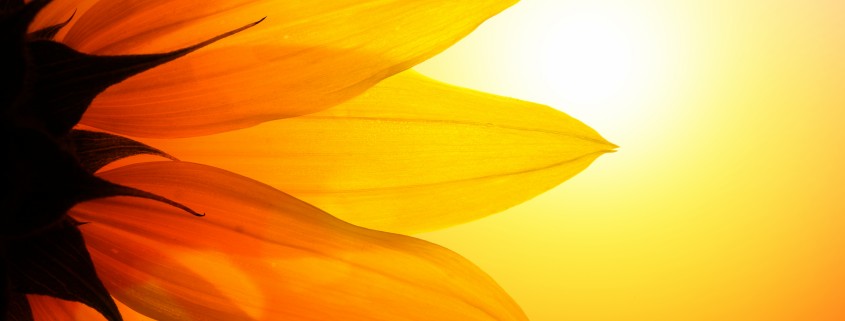 Reiki Refresher