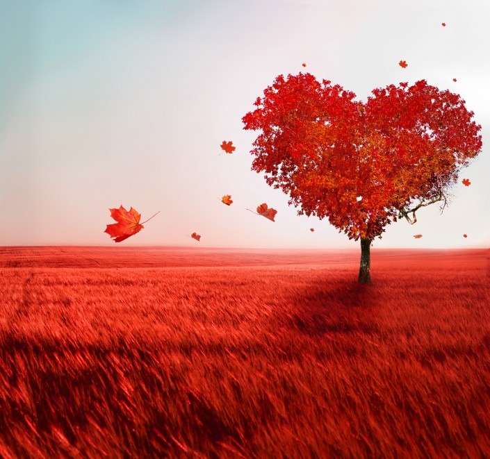 Tree of love