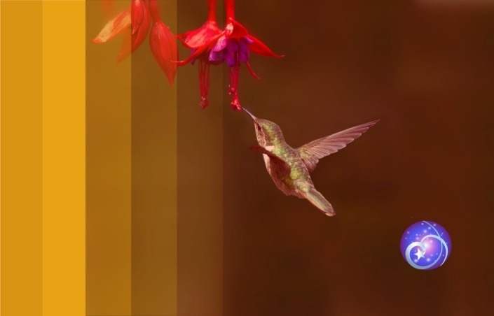 Learn It Live: Teacher Training, Class & Event Graphics